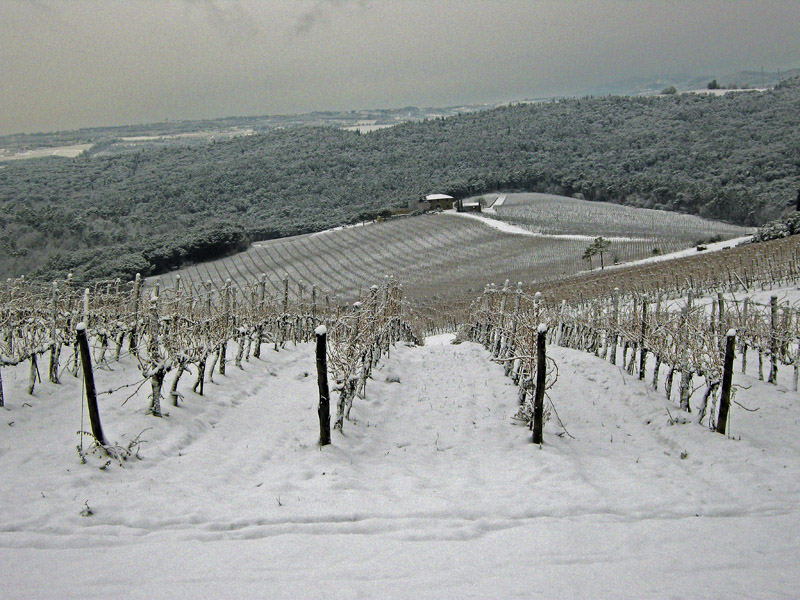 La magica atmosfera del Chianti innevato